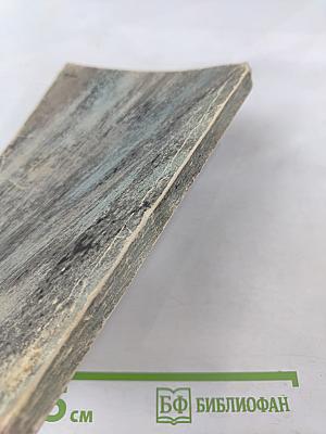 Сибирь. Книга первая