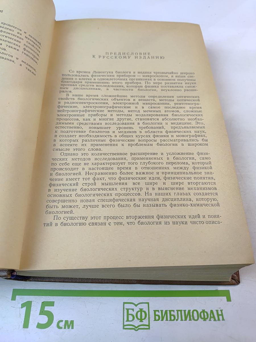 Основы биологической и медицинской физики