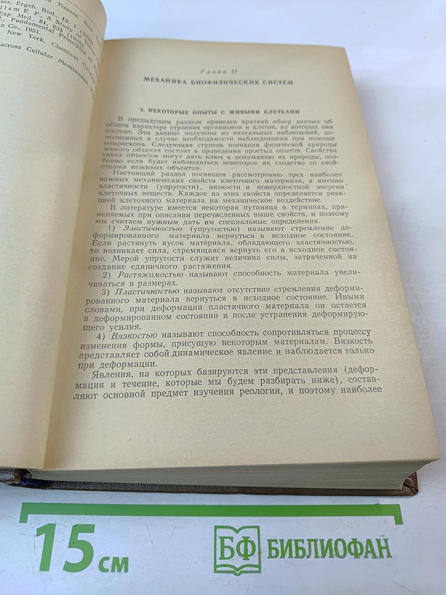 Основы биологической и медицинской физики