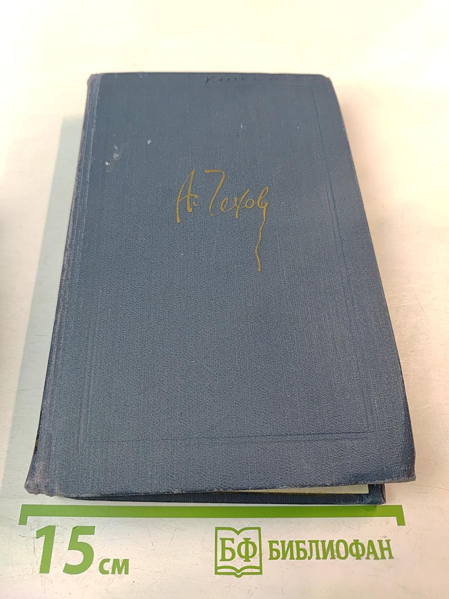 Собрание сочинений. Том V: Рассказы, повести, статьи 1891-1895