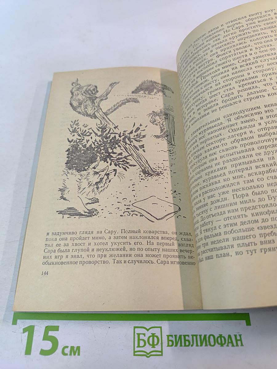 Под пологом пьяного леса