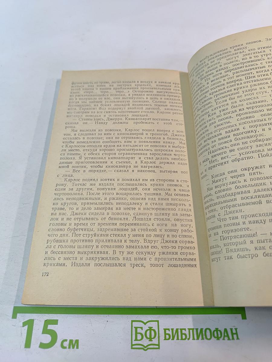 Под пологом пьяного леса