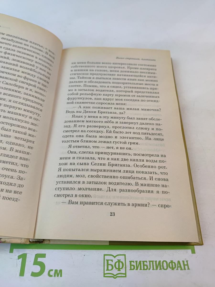 Выше стропила, плотники