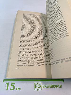 Дневные звезды. Говорит Ленинград