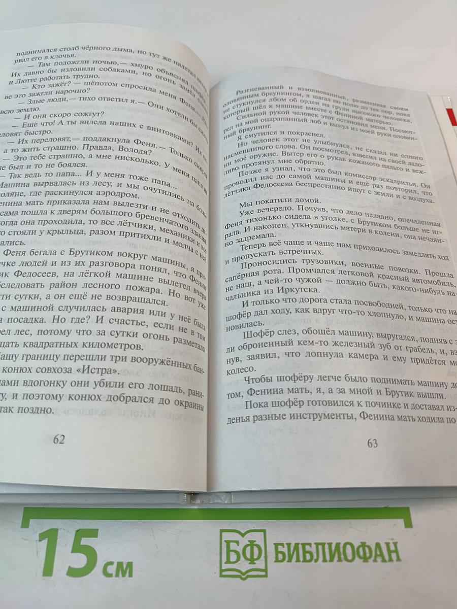 Тимур и его команда