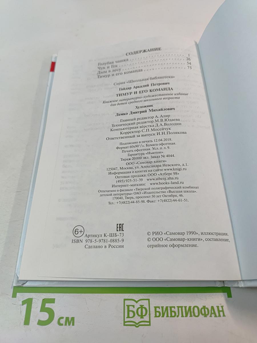 Тимур и его команда