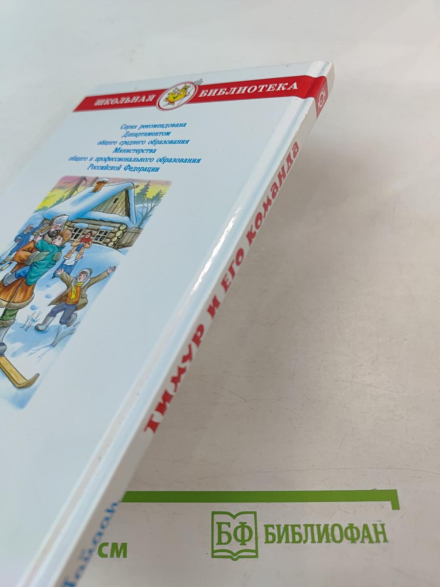 Тимур и его команда