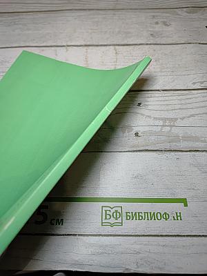 Русский язык в школе, №2, 2007