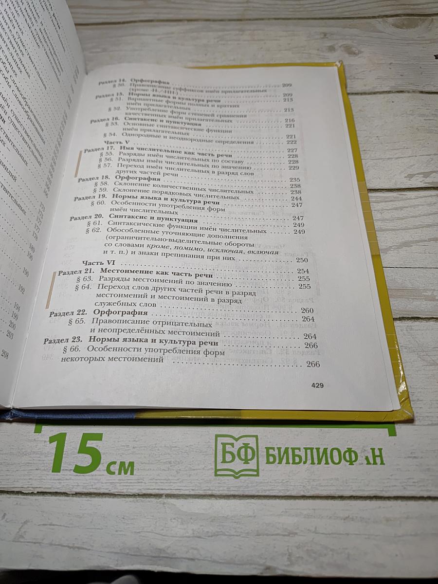 Русский язык. 11 класс. Базовый и углубленный уровни