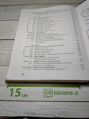 Русский язык. 11 класс. Базовый и углубленный уровни