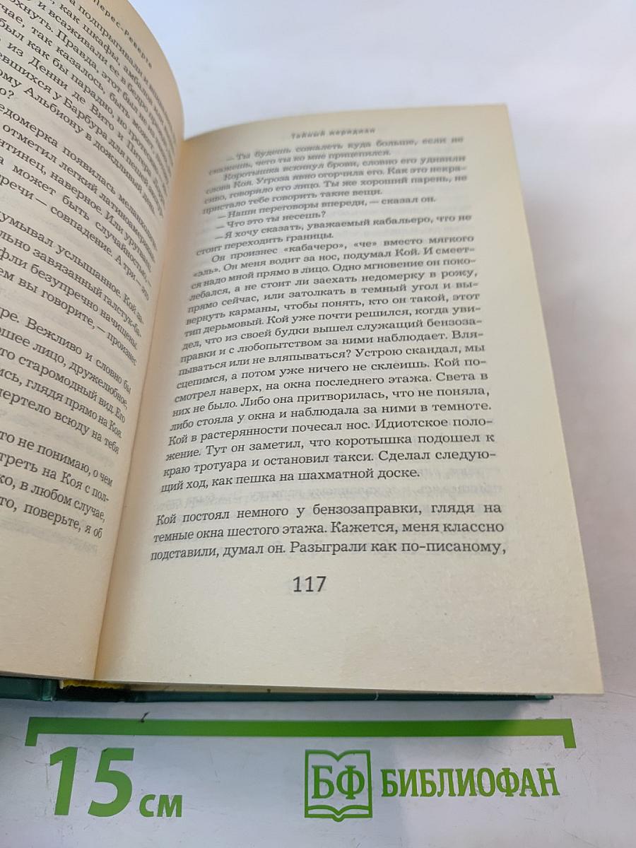 Тайный меридиан