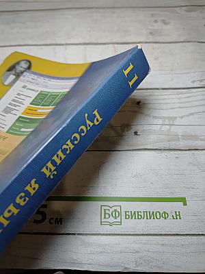 Русский язык. 11 класс. Базовый и углубленный уровни