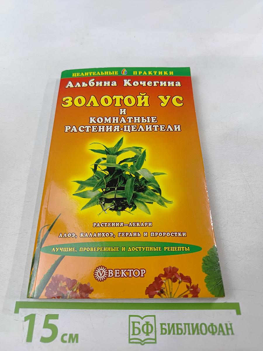 Золотой ус и комнатные растения-целители