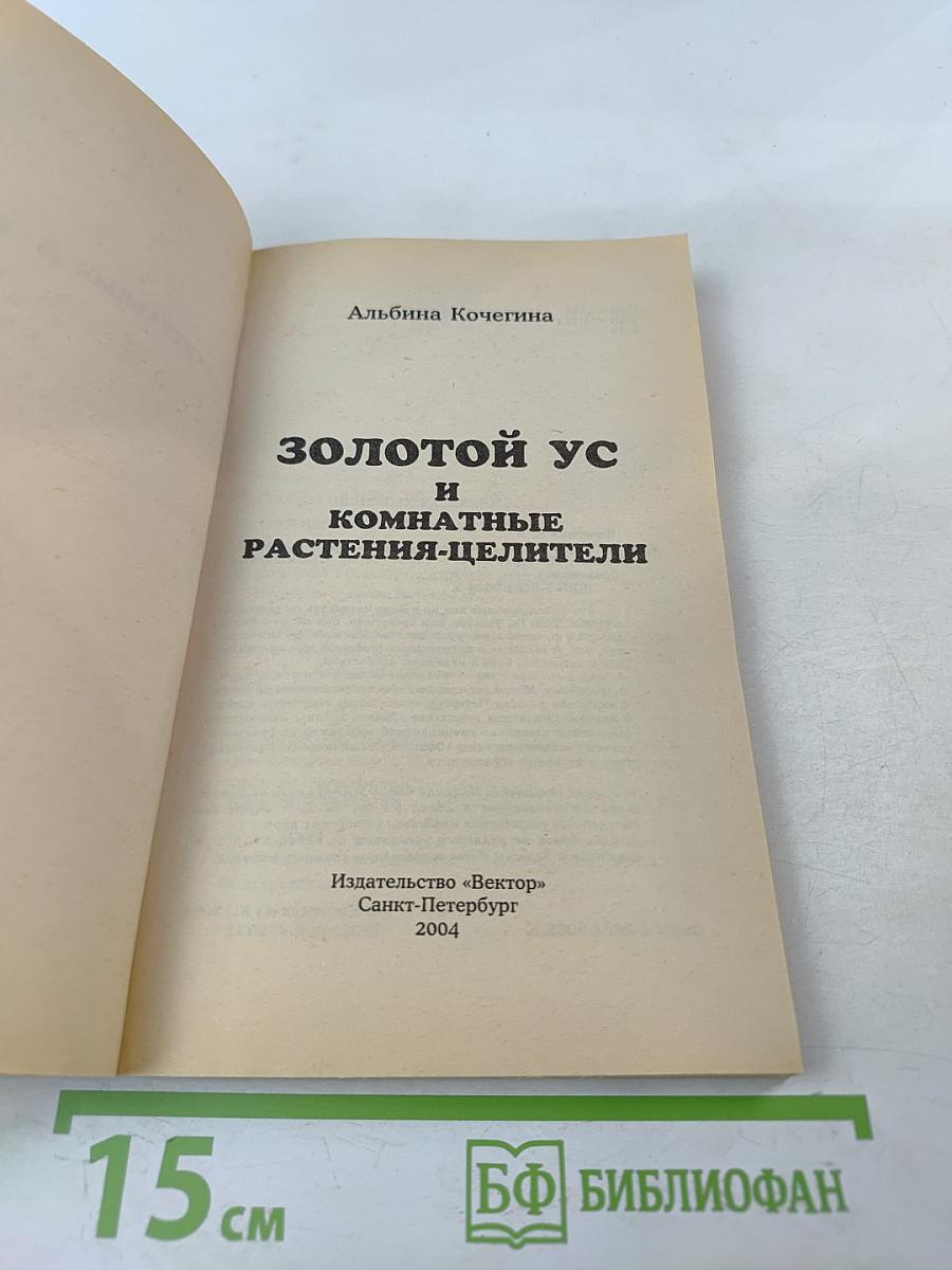 Золотой ус и комнатные растения-целители