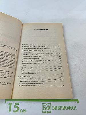 Золотой ус и комнатные растения-целители