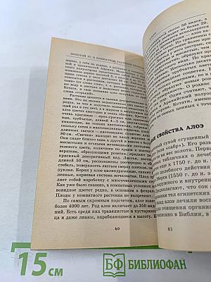 Золотой ус и комнатные растения-целители