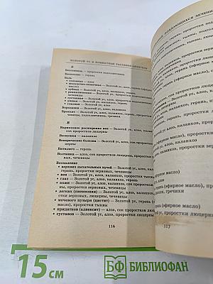 Золотой ус и комнатные растения-целители