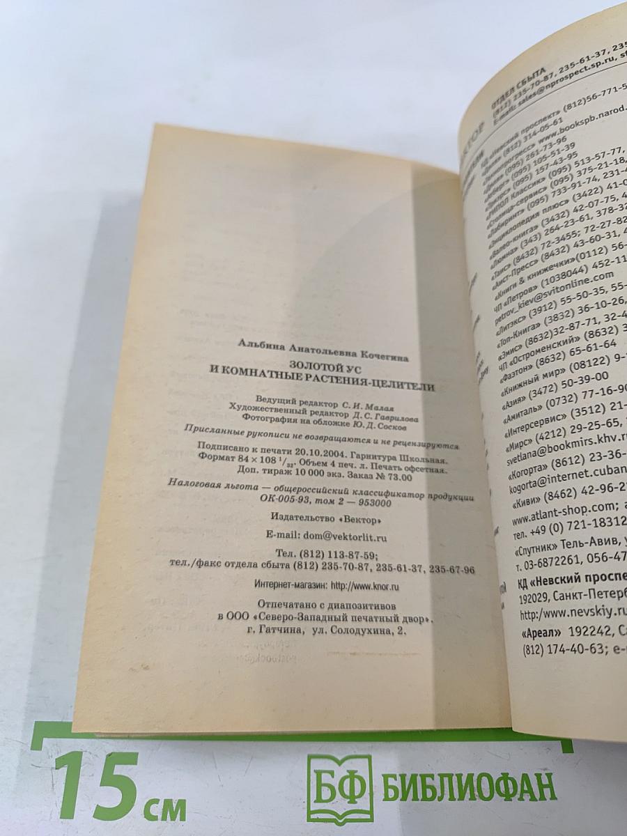 Золотой ус и комнатные растения-целители