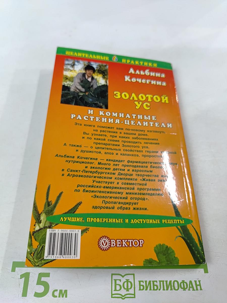 Золотой ус и комнатные растения-целители