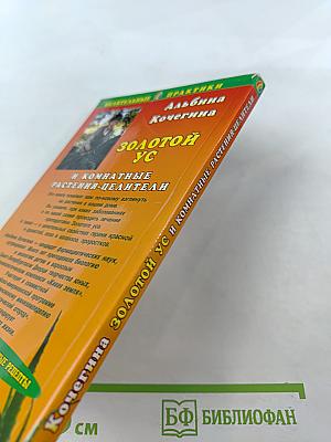 Золотой ус и комнатные растения-целители