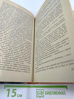 Обратная сторона Вечности