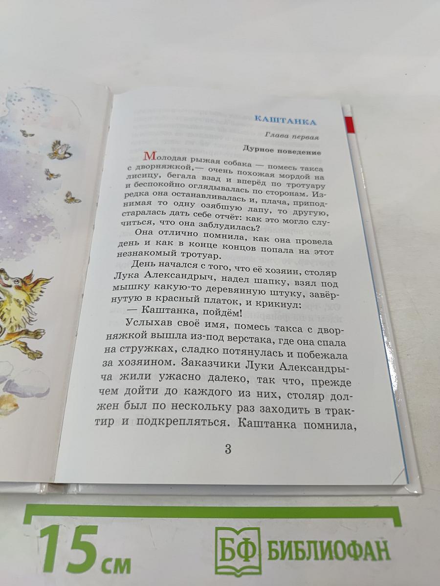 «Каштанка» и другие рассказы