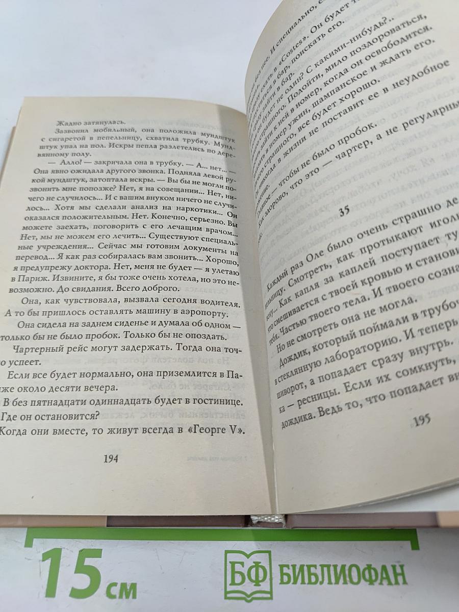 Устрицы под дождем