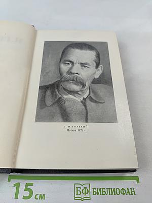 Рассказы, очерки, воспоминания. Том 17