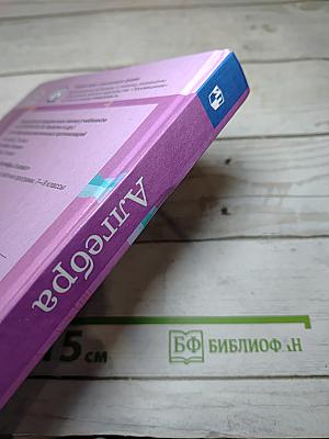 Алгебра 8 класс