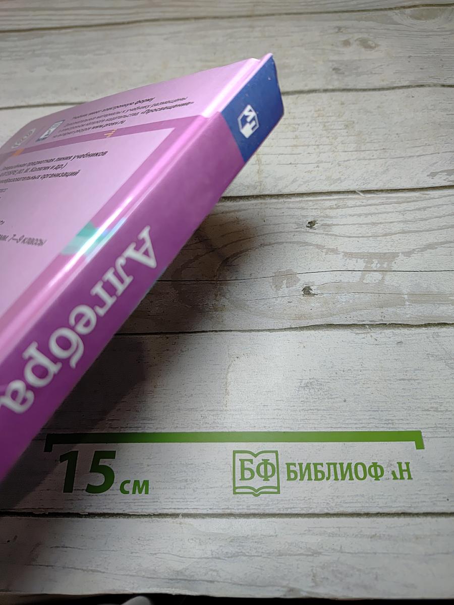 Алгебра 8 класс