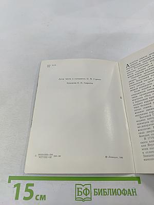 Петродворец. Большой дворец