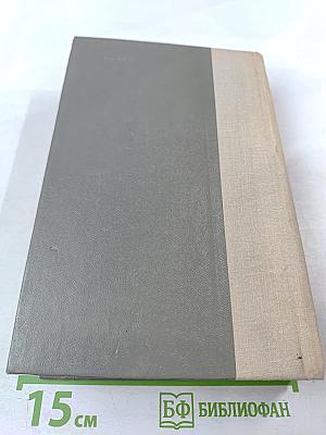 Испытательный срок: Повести и рассказы