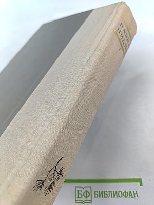 Испытательный срок: Повести и рассказы