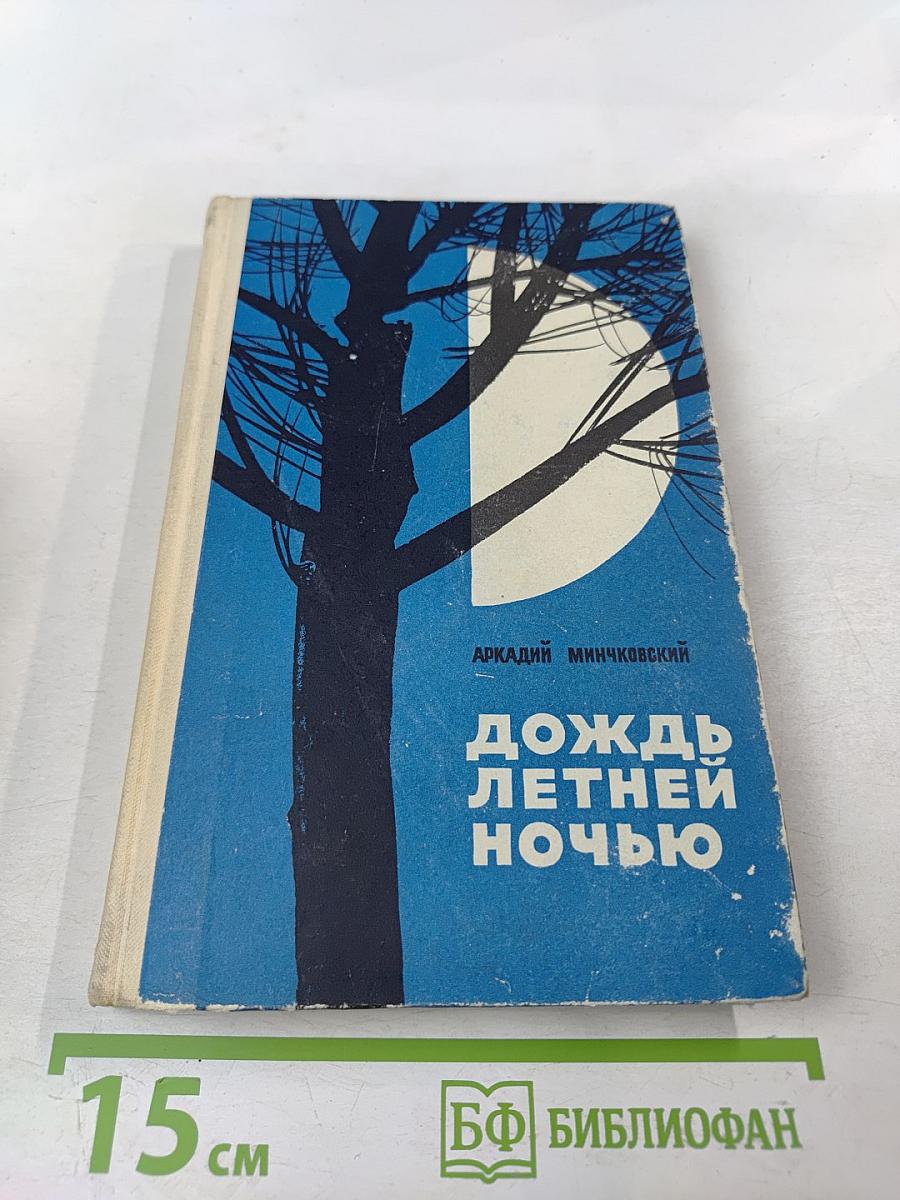 Дождь летней ночью
