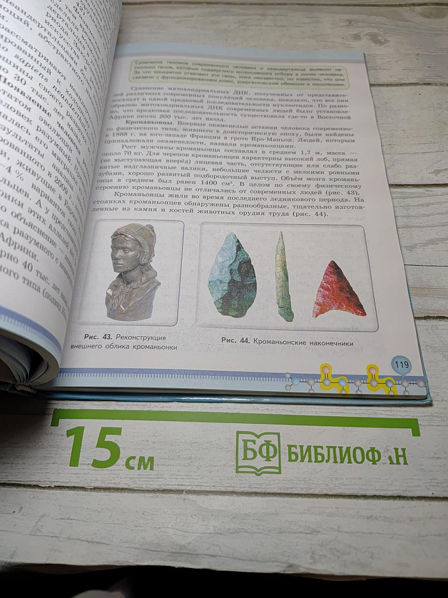 Биология 11 класс Базовый уровень