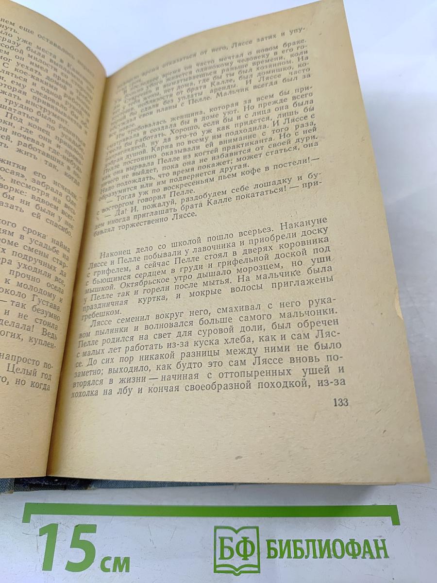 Пелле-Завоеватель. Книги первая и вторая