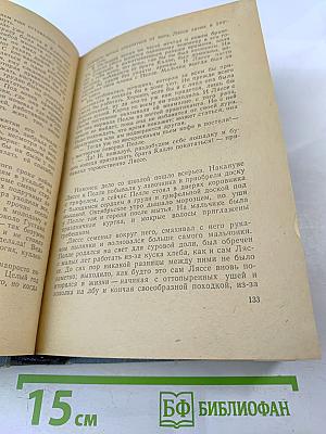 Пелле-Завоеватель. Книги первая и вторая