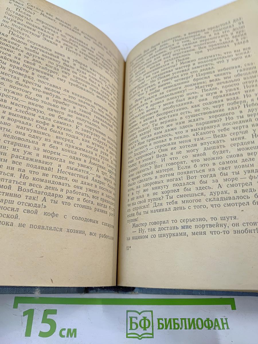 Пелле-Завоеватель. Книги первая и вторая
