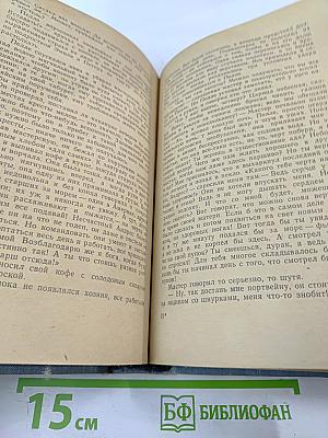 Пелле-Завоеватель. Книги первая и вторая