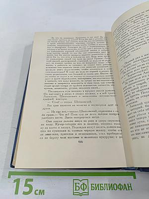 Рассказы, повести, статьи и фельетоны 1887-1891. Том IV