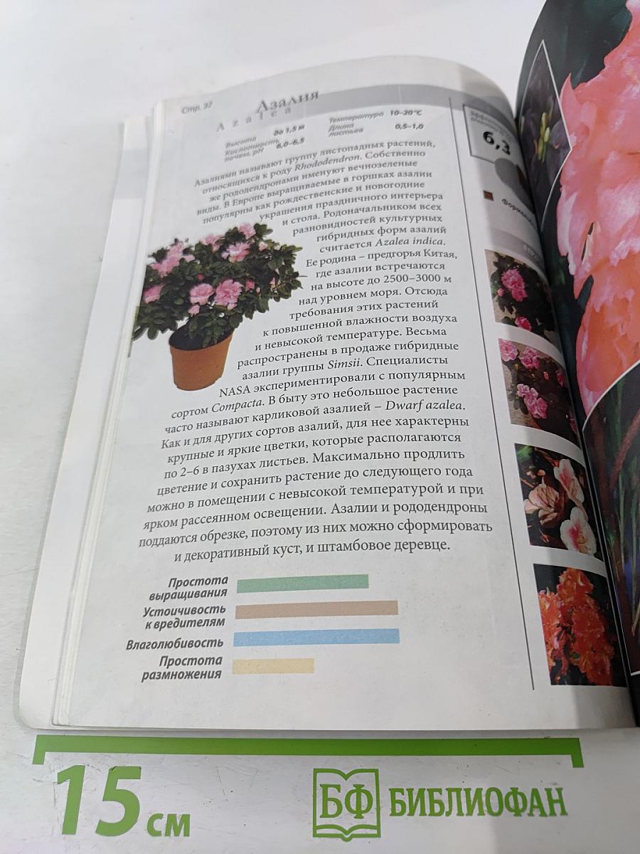 Все о комнатных растениях, очищающих воздух