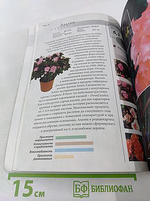 Все о комнатных растениях, очищающих воздух