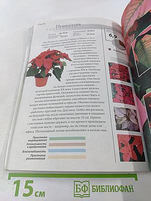 Все о комнатных растениях, очищающих воздух