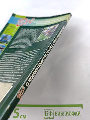 Все о комнатных растениях, очищающих воздух