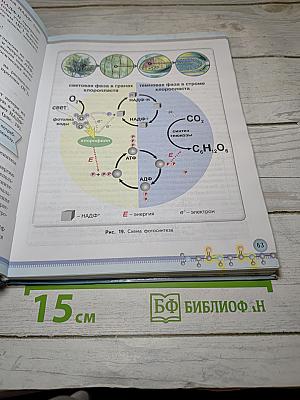 Биология 10 класс Базовый уровень