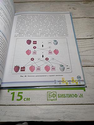 Биология 10 класс Базовый уровень