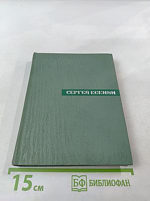 Собрание сочинений. Том четвертый. Проза. Статьи и заметки