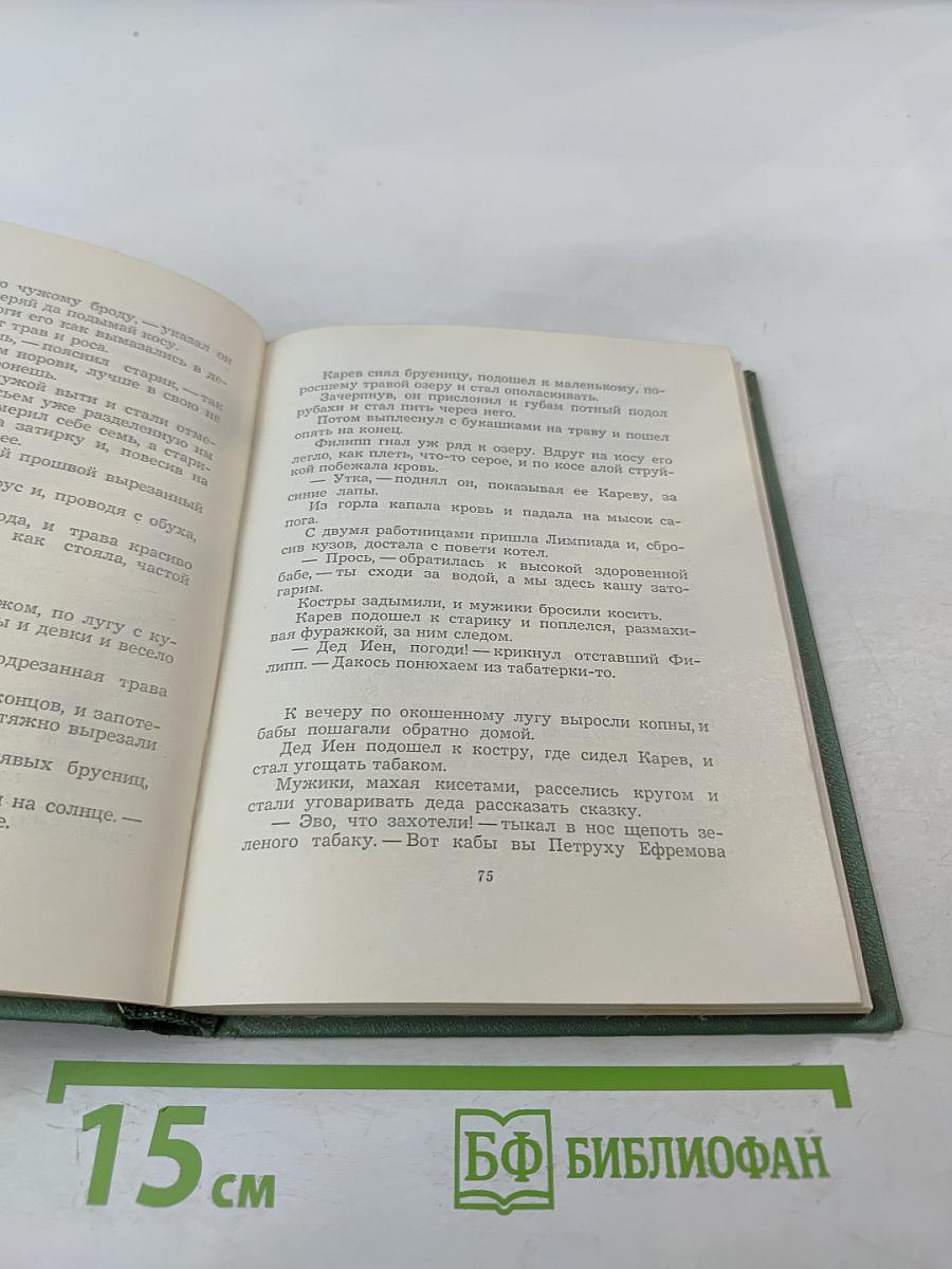 Собрание сочинений. Том четвертый. Проза. Статьи и заметки