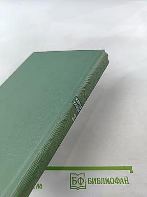 Собрание сочинений. Том второй: Стихотворения, драматические поэмы (Октябрь 1917-1923)