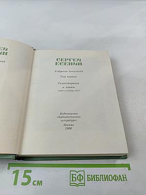 Собрание сочинений. Том первый. Стихотворения и поэмы (1910 - октябрь 1917)